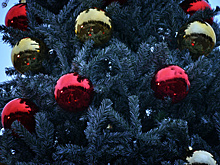 Новогодние ели начали устанавливать у торговых центров в Подмосковье