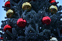 Новогодние ели начали устанавливать у торговых центров в Подмосковье