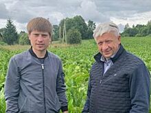 Иван Штылин посетил предприятие по выращиванию хрена в Пустошкинском районе