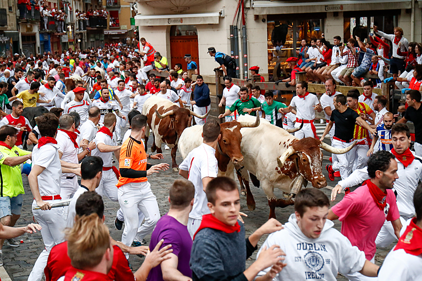 Фестиваль в честь покровителя Наварры святого Фермина начался в Памплоне 6 июля и продлится до 14 июля. В ходе праздничных мероприятий проходят шествия, концерты и детские праздники. Но гвоздем гуляний считаются именно забеги с быками (энсьерро).