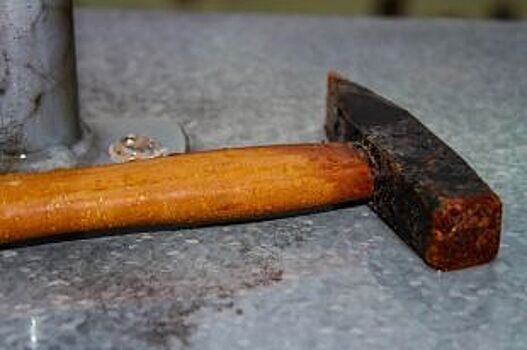 Уральского педофила с молотком признали вменяемым