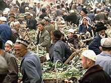Почти половина мигрантов в России предпочитает жить по шариату, а не по закону. На что они готовы