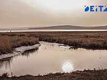 Дорожный конфликт между фермером и рыбаками дошёл до прокуратуры Приморья