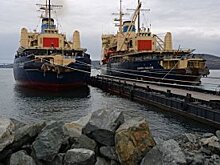 Росприроднадзор представил интерактивную карту загрязнений Волги