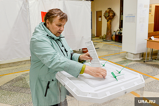 Челябинский суд не стал отменять итоги выборов в элитном поселке