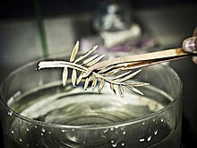 Инвесторы выстроились в очередь за бумагами «Полюса»