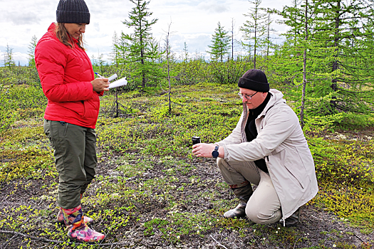 Сотрудники РАН зафиксировали трансформацию ландшафтов арктической зоны