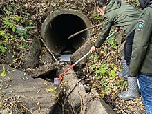 В Нижнекамске экологи отобрали пробы воды в реке Омшанка после жалоб жителей на появление пены