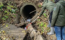 В Нижнекамске экологи отобрали пробы воды в реке Омшанка после жалоб жителей на появление пены