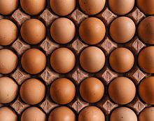 Вопросом повышения цены на яйцо куриное в Удмуртии занялось УФАС