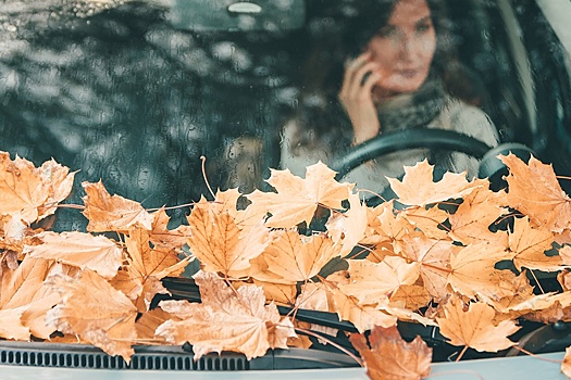 Выгодно ли покупать новый автомобиль этой осенью