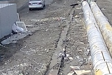 «Точно у нас?»: волгоградцы нашли мусорные завалы в самом благоустроенном районе