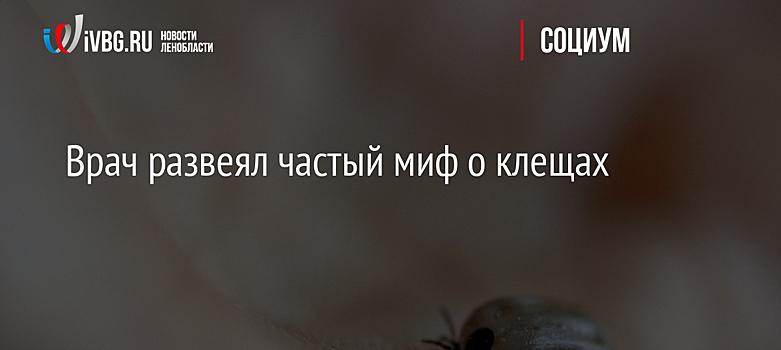 Врач развеял частый миф о клещах