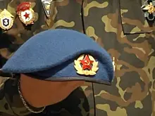 Председателем регионального отделения ДОСААФ России стал офицер-десантник