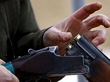 Госдеп не подтверждает, что одобрил поставки оружия Украине
