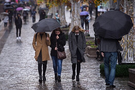 Жителей Московской области ожидают осадки в виде дождя и мокрого снега