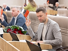 Депутат Вихарев потребовал остановить вырубку леса под Первоуральском