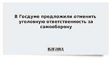 В Госдуме предлагают отменить уголовную ответственность за самооборону