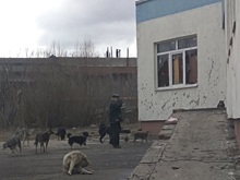 В Саратове во время субботника мужчина с топором набросился на жителей