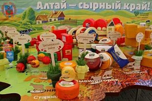 В Барнауле готовятся к фестивалю «Дни алтайского сыра»