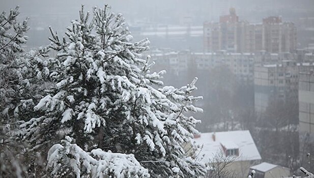В Крыму объявили экстренное предупреждение из-за снегопада и гололедицы