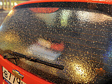 Две трети месячной нормы осадков выпало в московском регионе с начала апреля