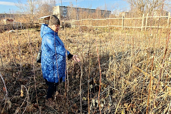 В Ачинске чиновники снова обжаловали решение суда, вынесенное в пользу многодетных