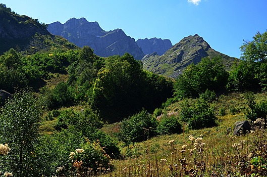 В Госдуме ответили на призыв из Абхазии отказаться от экономных туристов из России