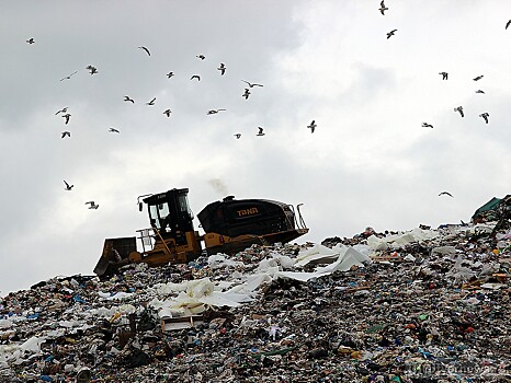 Крупнейший мусорный полигон в Твери переходит в собственность региона