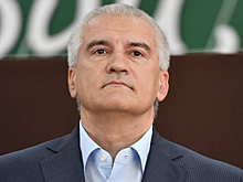 Глава Крыма предложил запрет для семей проживающих в России мигрантов