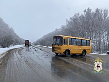 Бастрыкин поручил доложить ему о столкновении школьного автобуса и бензовоза