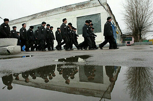 Предателям предложили век воли не видать