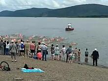 В Хабаровском крае прошёл массовый заплыв через Амур
