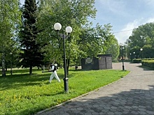 Противоклещевая обработка стартовала в Новокузнецке