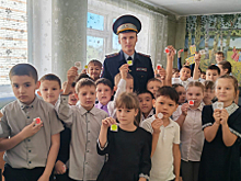 В Оренбурнской области сотрудниками Госавтоинспекции проведен урок грамотного поведения на дороге с начальными классами