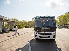 Больше 1000 транспортных карт приобрели благовещенцы, чтобы экономить на автобусах