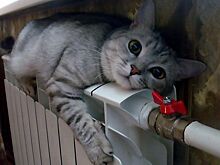 Названа дата завершения отопительного сезона