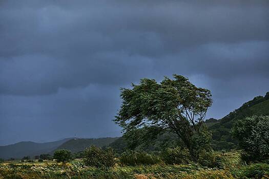 Начало учебного года в&nbsp;регионе России перенесут из-за тайфуна