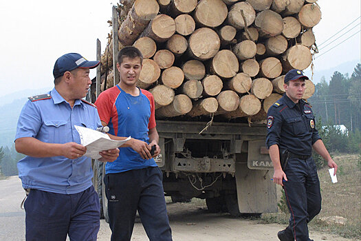 В РФ ужесточат ответственность за незаконный вывоз лесоматериалов