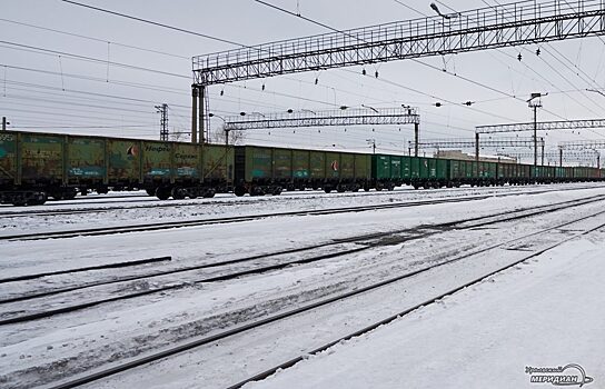 На Среднем Урале грузовой поезд насмерть сбил двух медведей