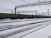 На Среднем Урале грузовой поезд насмерть сбил двух медведей