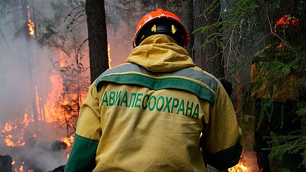 Площадь лесных пожаров в Сибири выросла на 7,5 тысяч гектаров