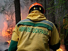 Площадь лесных пожаров в Сибири выросла на 7,5 тысяч гектаров