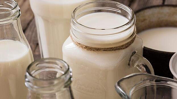 Полезно ли пить свежее молоко: вот что об этом думают специалисты