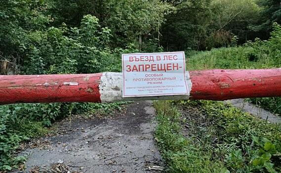 В Курской области с 23 апреля ограничено пребывание в лесах