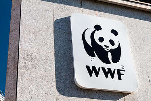 Генпрокуратура России признала Всемирный фонд природы WWF нежелательной организацией
