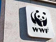 Генпрокуратура России признала Всемирный фонд природы WWF нежелательной организацией