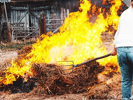 Юрист Рыбченко: костер на дачном участке грозит штрафом в 20 тыс рублей