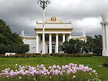 В Москве на ВДНХ стартуют "Литературные среды" журфака МГУ