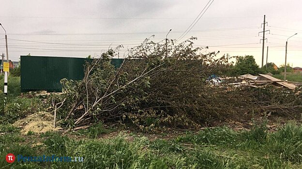 В Сердобске мусорщики нарушили антимонопольное законодательство